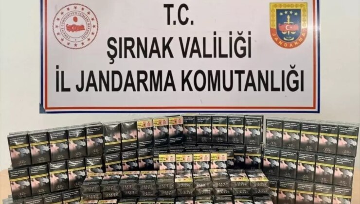 Şırnak’ta Kaçakçılık Operasyonu: 12 Gözaltı, 1 Tutuklama